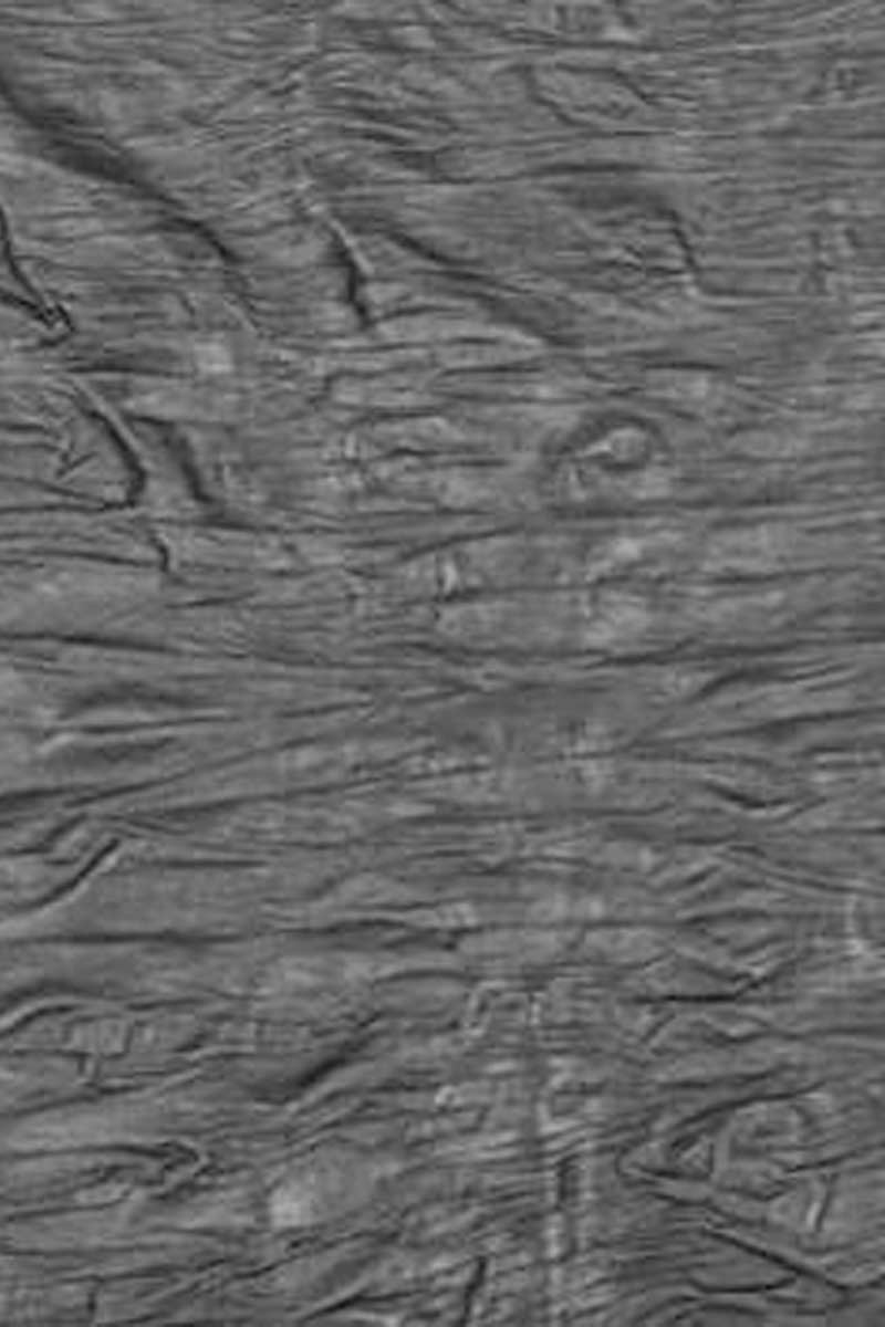 Wrinkle Part Wrinkle – tess